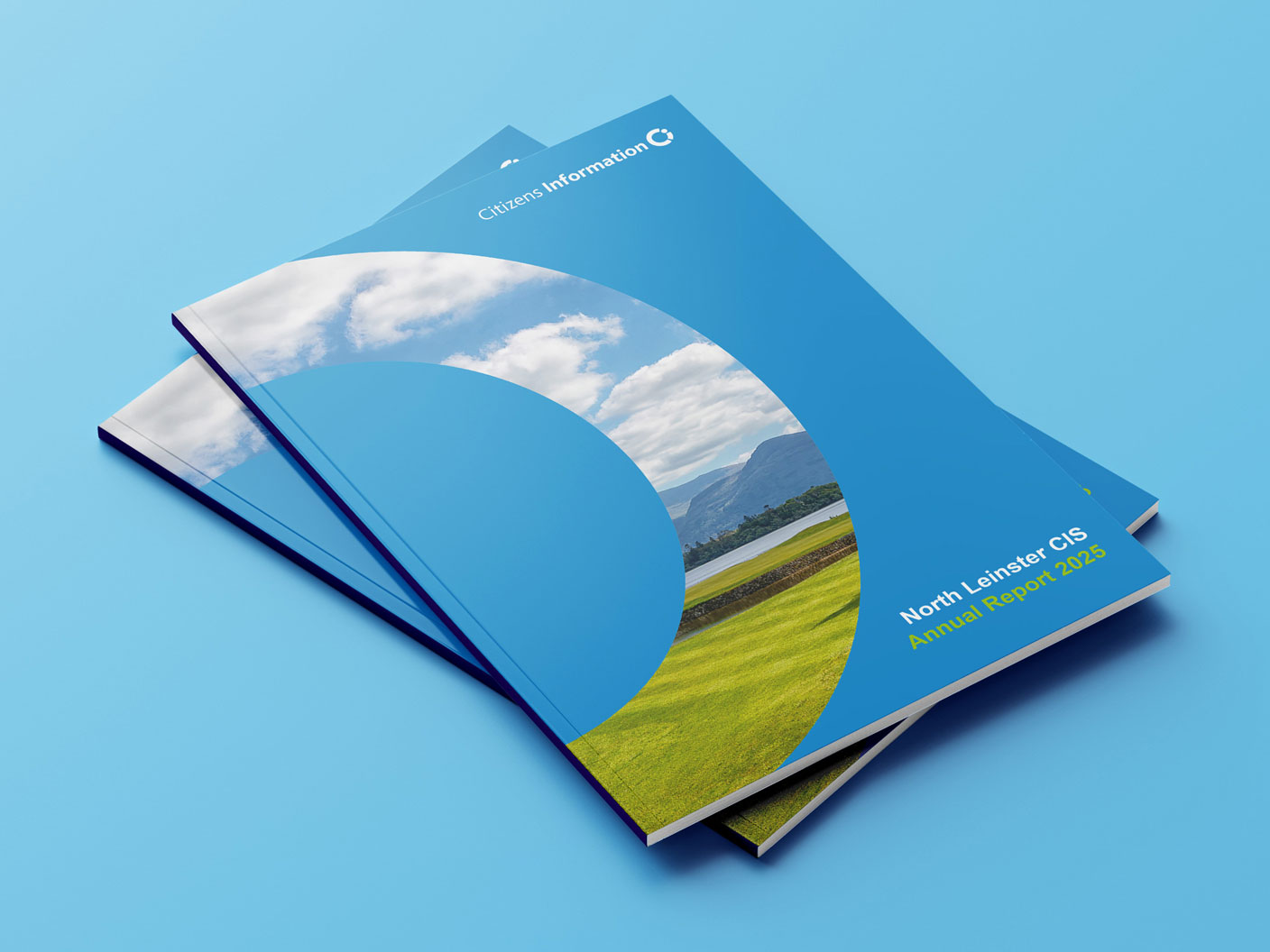 North Leinster Citizens Information Service report design by Pixelo