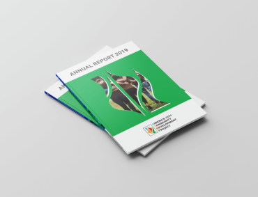 annual report design - graphic design agency - Ireland - Pixelo